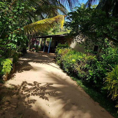 Nilaveli Beach Rooms エクステリア 写真